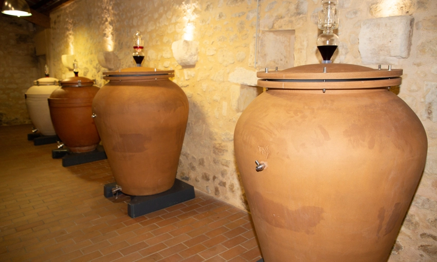 la vinificazione del vino
