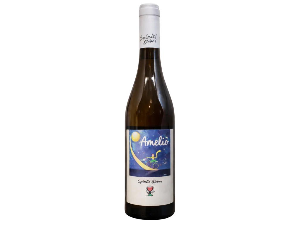 Ameli&ograve; Calabria Rosato IGP 2024 | Spiriti Ebbri