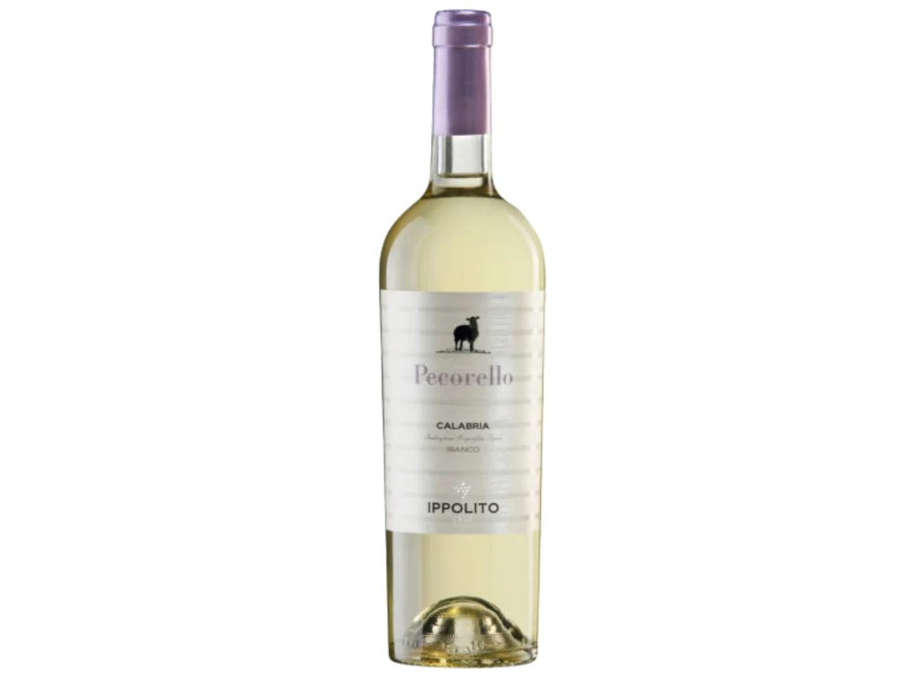 Pecorello Bianco Calabria IGT 2024 | Ippolito 1845
