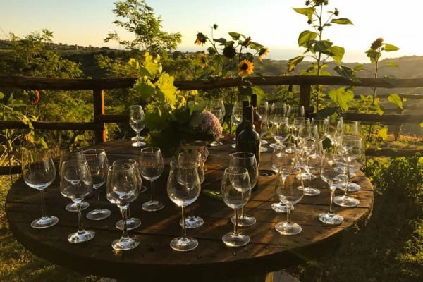 aperitivo in vigna