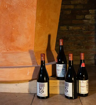 foto vini della Tenuta del Travale