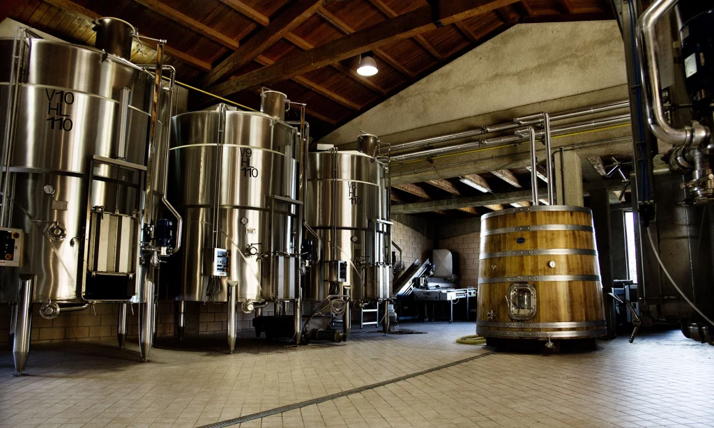 vino botti